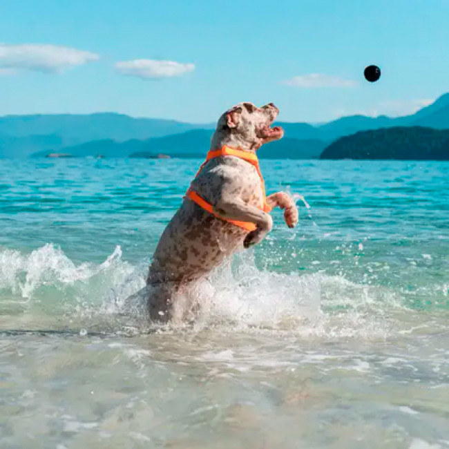 Іграшка для собак Zee.Dog Cannon Ball Іграшка для собак Zee.Dog Cannon Ball