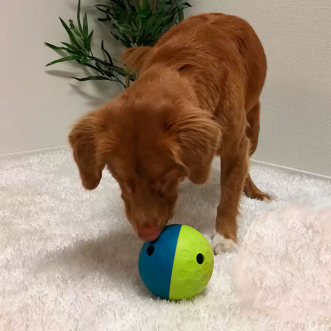 Treat Tumble Small Treat Tumble Small