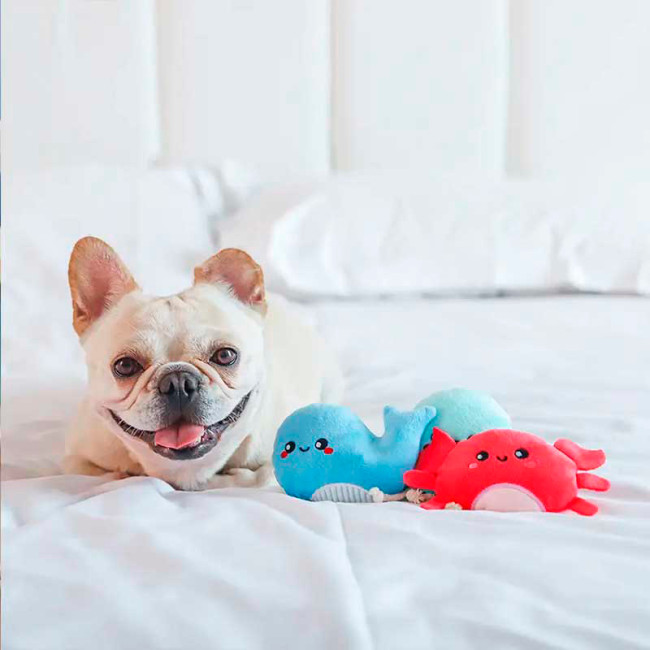 Набір іграшок для собак HugSmart - Ocean Pals Sea Creatures Набір іграшок для собак HugSmart - Ocean Pals Sea Creatures