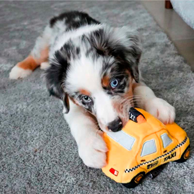 Іграшка для собак таксi Pet Play - Taxi Cab Іграшка для собак таксi Pet Play - Taxi Cab
