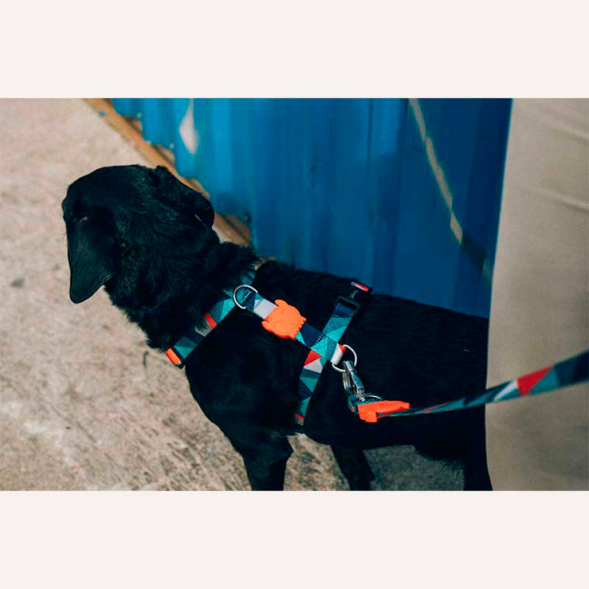 Шлейка для собак Zee.dog H-HARNESS Ella Шлейка для собак Zee.dog H-HARNESS Ella