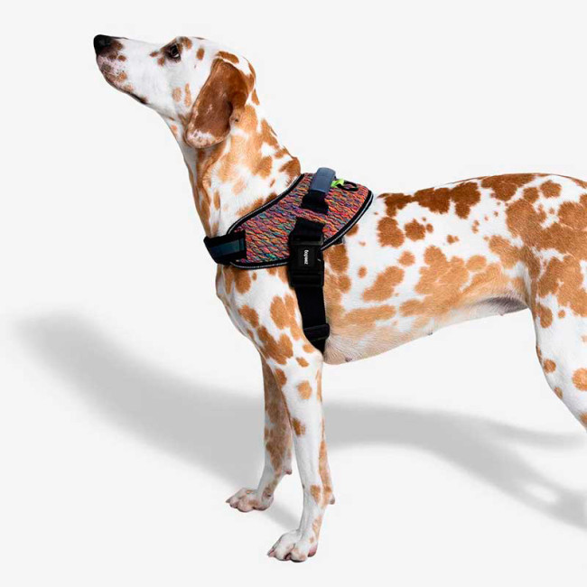 Шлейка для собак Zee.Dog - flyharness vortex Шлейка для собак Zee.Dog - flyharness vortex