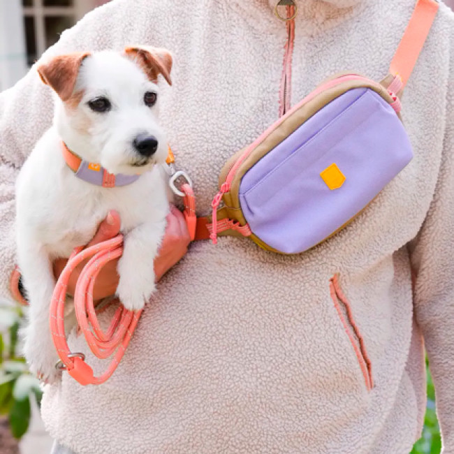 Сумочка поясна для прогулянок Alpha 360 Hip Pack Wooly Wolf