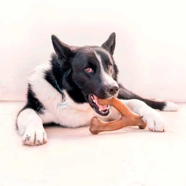 Benebone Wishbone bacon flavour Benebone Wishbone bacon flavour