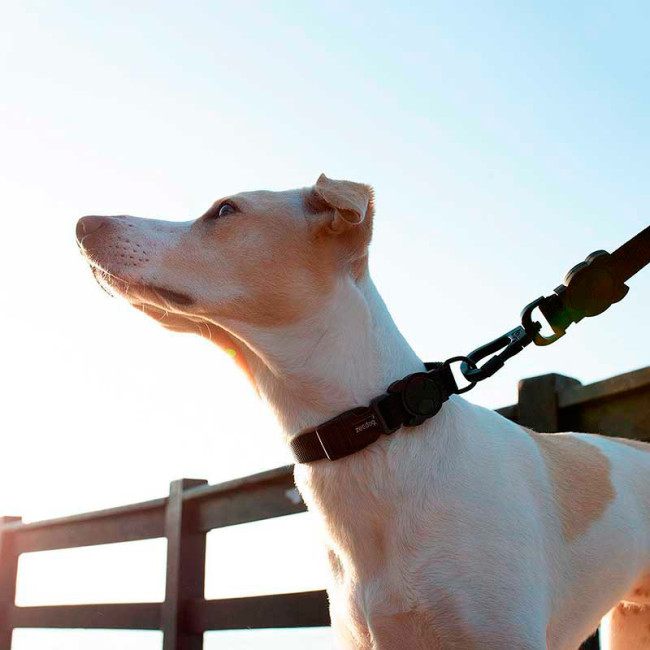 Нашийник Zee.dog Gotham Нашийник Zee.dog Gotham