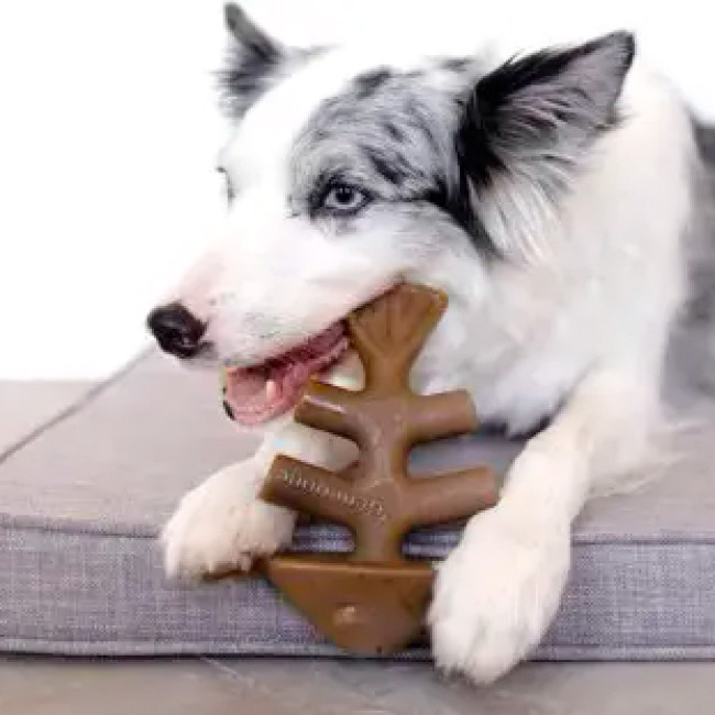 Benebone Fishbone