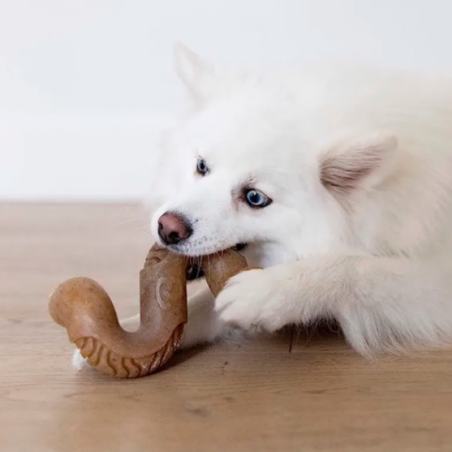 Benebone Tripe Bone beef tripe Benebone Tripe Bone beef tripe