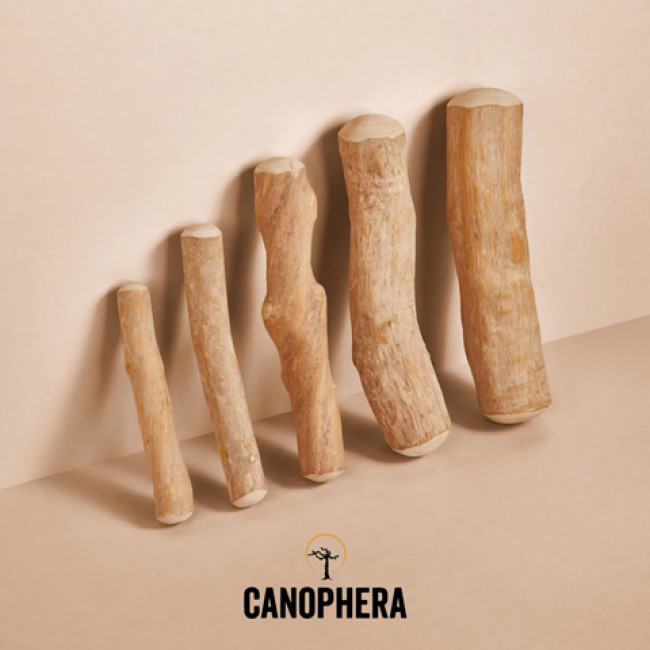 Кавова гілка Cofee wood stick Canophera