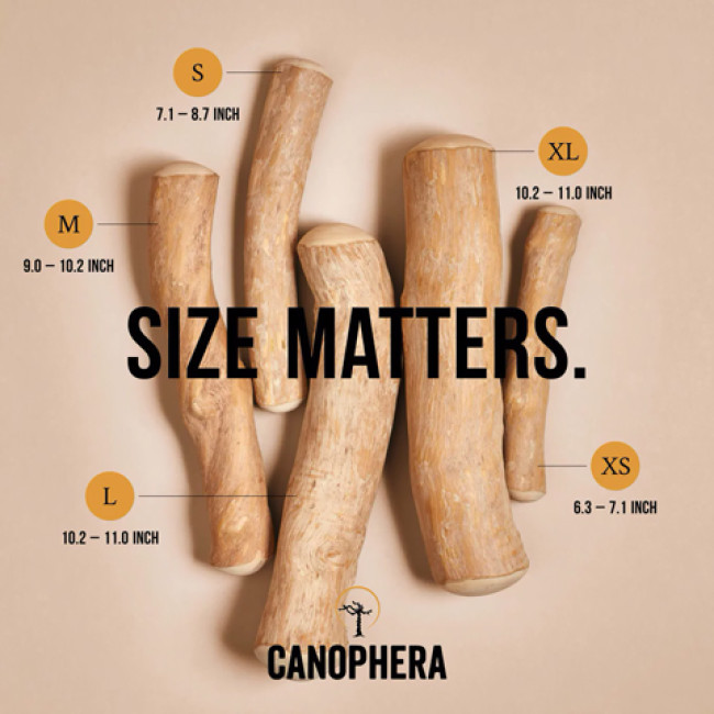 Кавова гілка Cofee wood stick Canophera