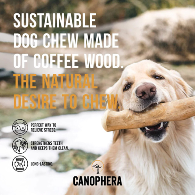Кавова гілка Cofee wood stick Canophera
