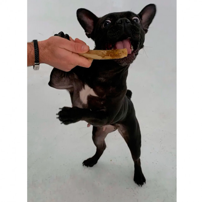 Кавова палиця для собак HealthyDoggo Coffee Stick Кавова палиця для собак HealthyDoggo Coffee Stick