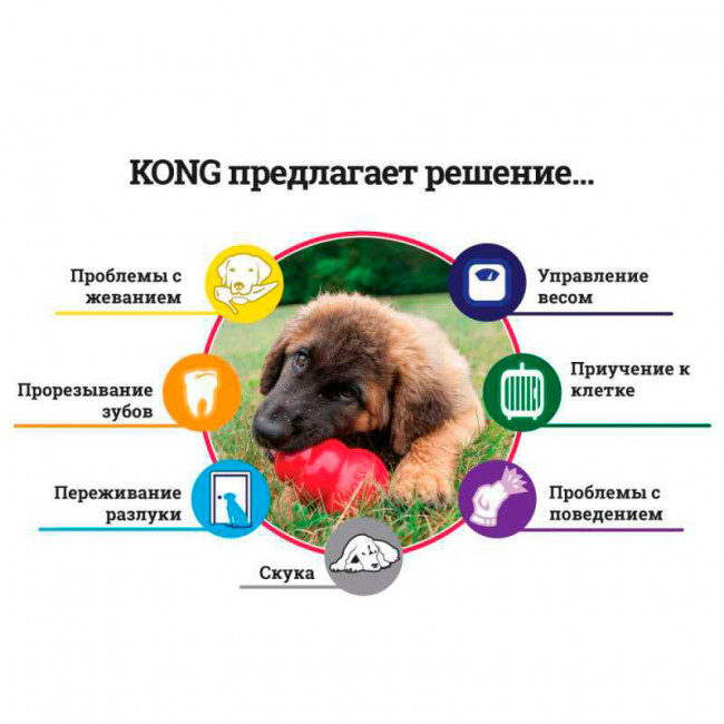 KONG Puppy гумова іграшка для цуценят KONG Puppy гумова іграшка для цуценят