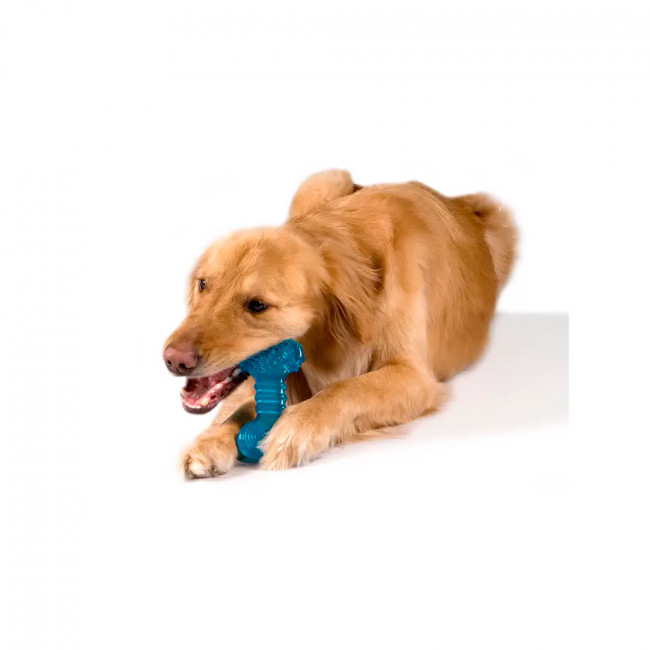 Petstages Orka Bone