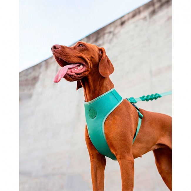 Шлея Zee.Dog  Army green adjustable mesh