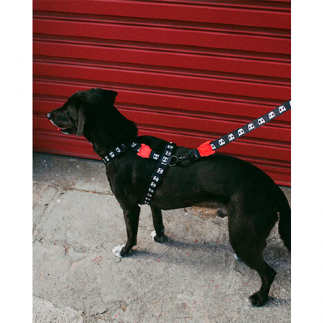 Шлея Zee.Dog Skull leash Шлея Zee.Dog Skull leash