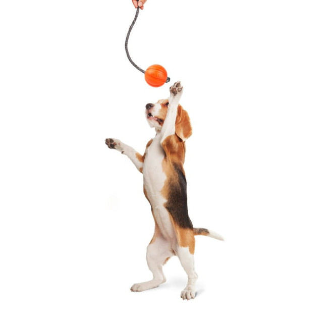 М'ячик Collar Liker Cord М'ячик Collar Liker Cord