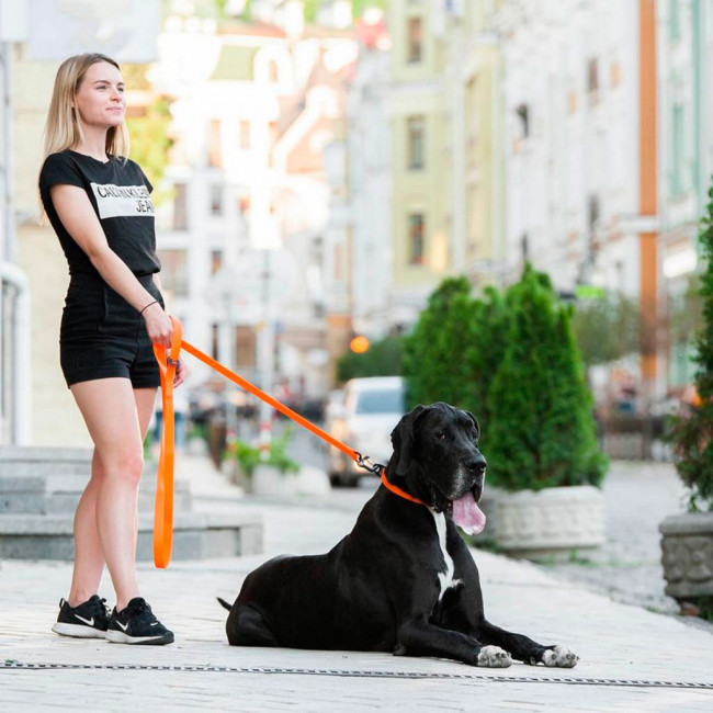 Повідець для собак collar Evolutor Повідець для собак collar Evolutor
