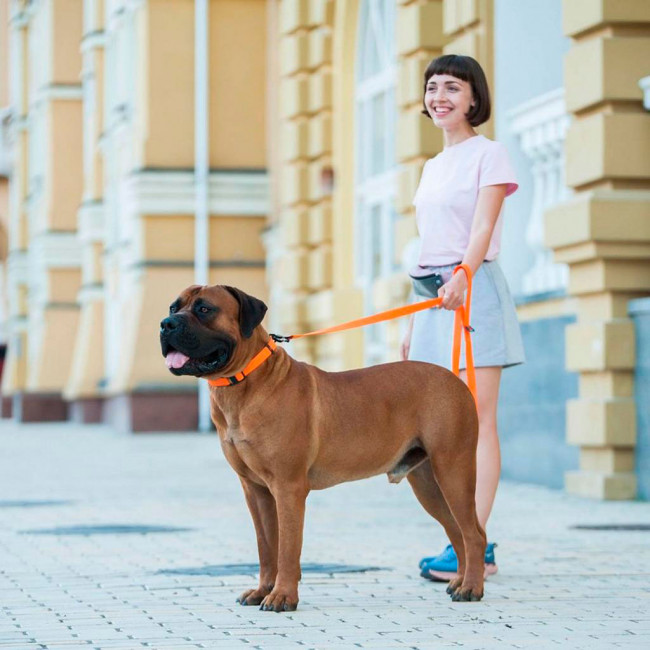 Повідець для собак collar Evolutor Повідець для собак collar Evolutor