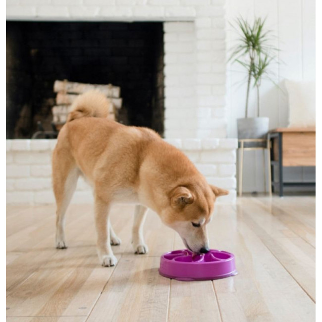 Outward Hound Fun Feeder Drop Outward Hound Fun Feeder Drop