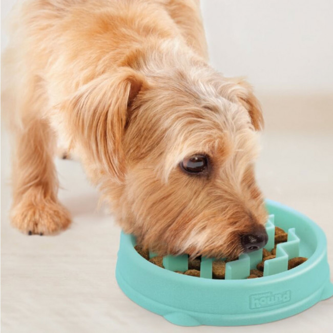 Fun Feeder Slo-Bowl Tiny