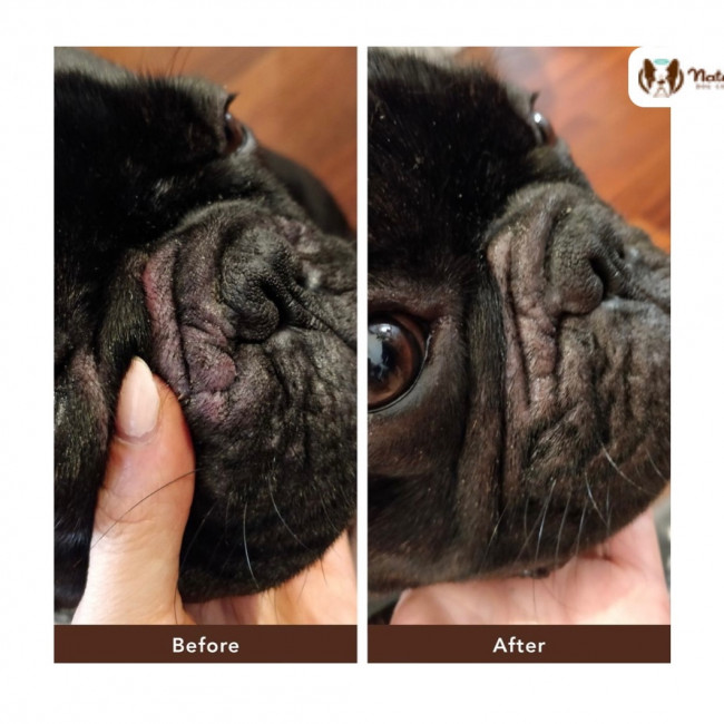 Бальзам для складочок Wrinkle Balm Natural Dog Company 4.25мл стік Бальзам для складочок Wrinkle Balm Natural Dog Company 4.25мл стік