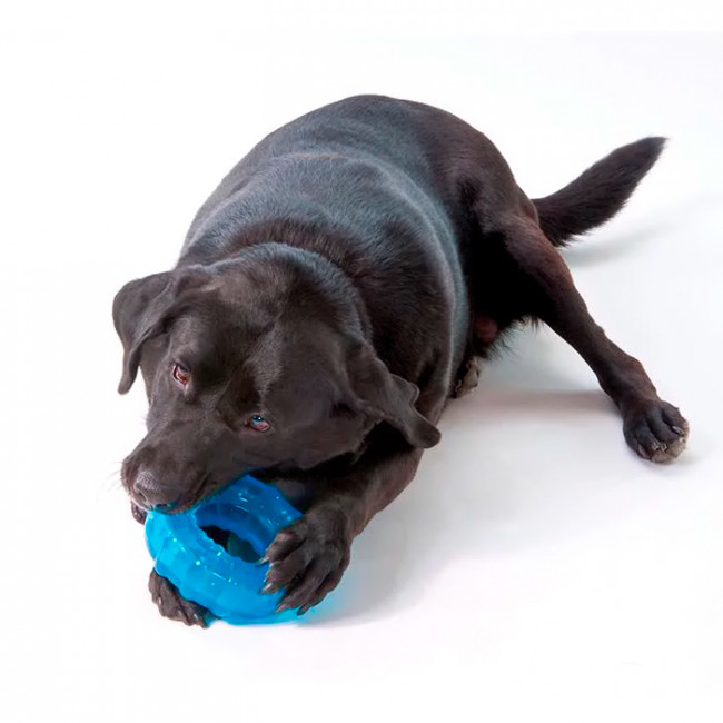 Petstages Orka Tire - колесо для собак Petstages Orka Tire - колесо для собак