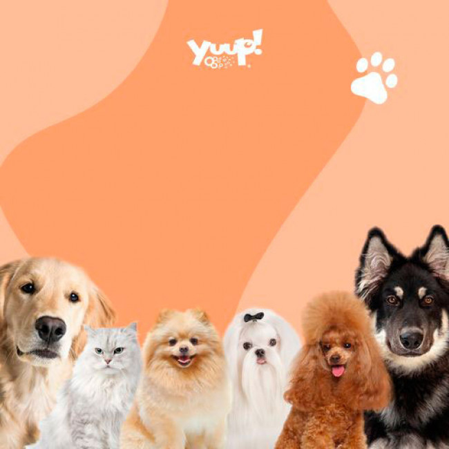 Шампунь Yuup Dark Coats Shampoo