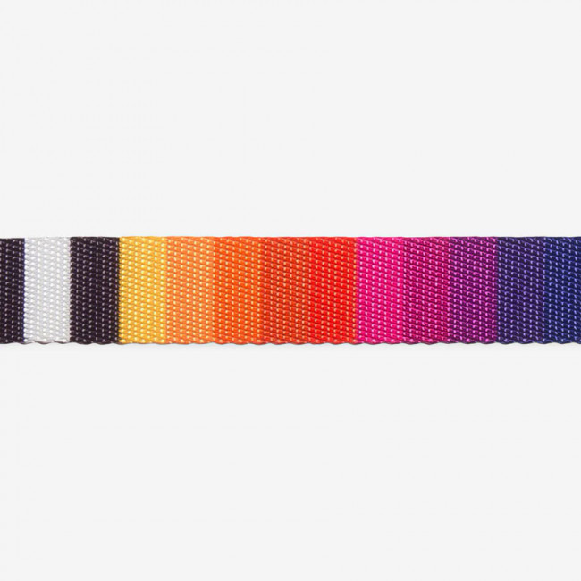 Повідець для собак Zee.dog PRISMA Regular Leash