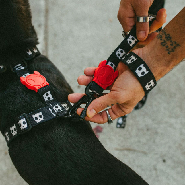 Повідець для собак Zee.dog SKULL Regular Leash Повідець для собак Zee.dog SKULL Regular Leash