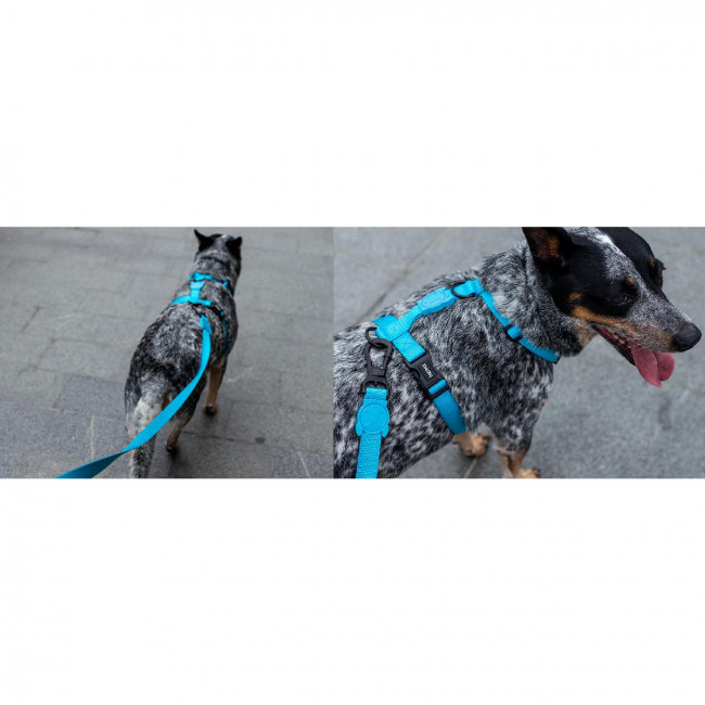 Повідець для собак Zee.dog ULTIMATE BLUE Regular Leash