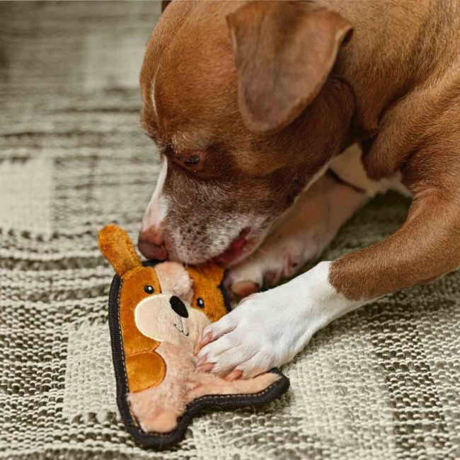 Іграшка для собак Outward Hound Invincibles Mini Puppy S 20 см Іграшка для собак Outward Hound Invincibles Mini Puppy S 20 см