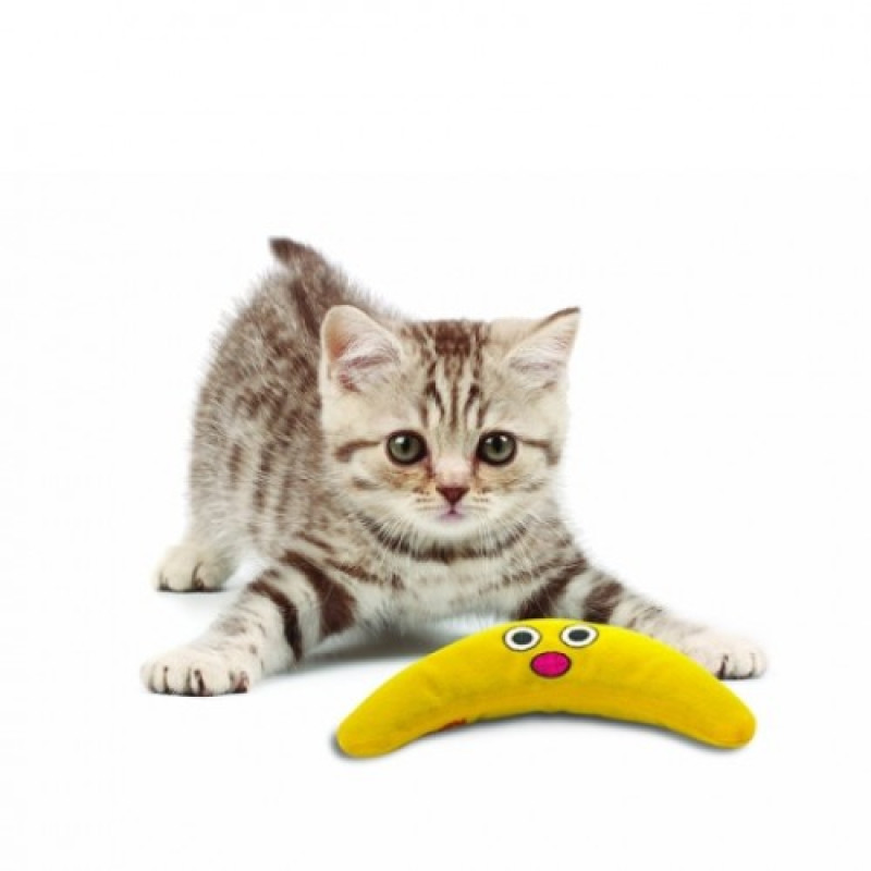 Petstages Boomerang Buddy Petstages Boomerang Buddy