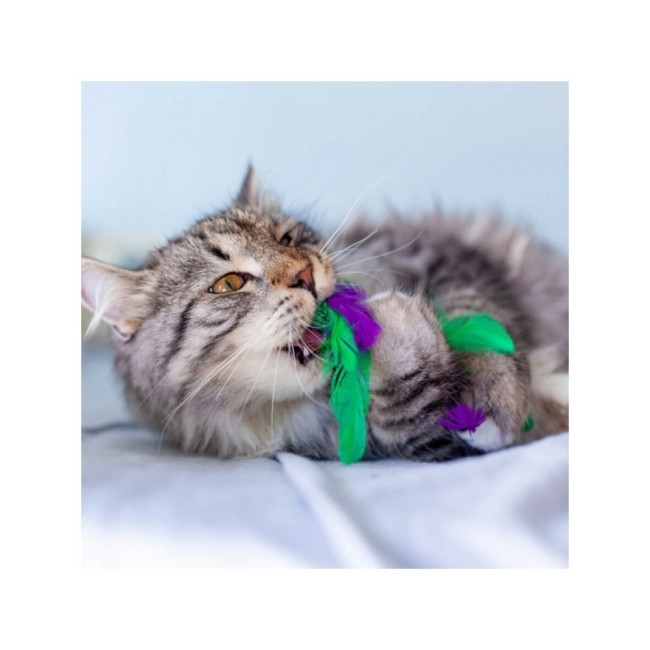Іграшка для котів Petstages Krazy Kale Іграшка для котів Petstages Krazy Kale