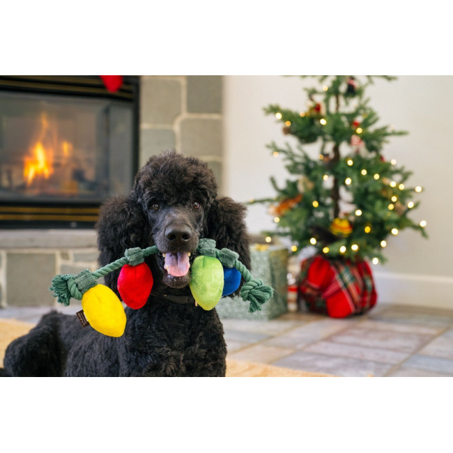 Іграшка для собак Ліхтарики Holiday Lights Home for the Holidays Pet Play