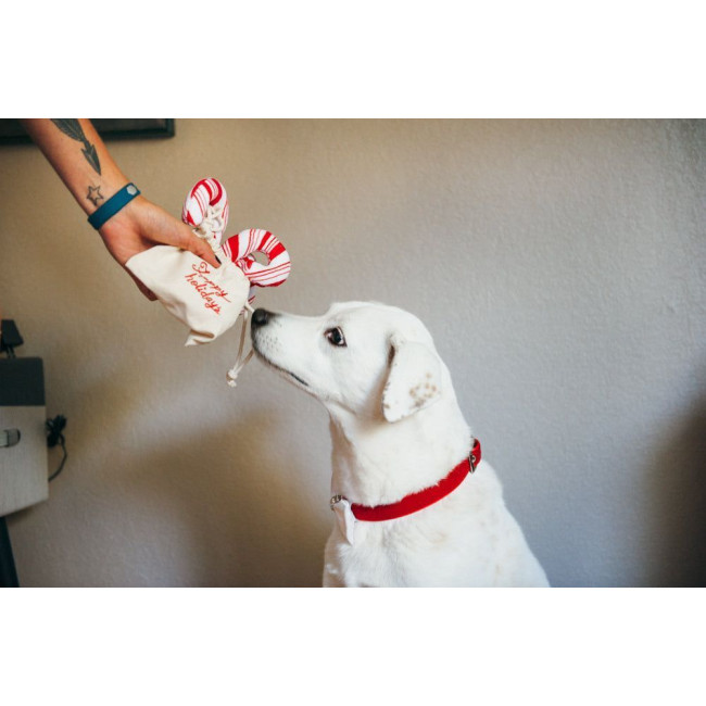 Іграшка для собак Holiday Classic - Candy Canes Pet Play Іграшка для собак Holiday Classic - Candy Canes Pet Play