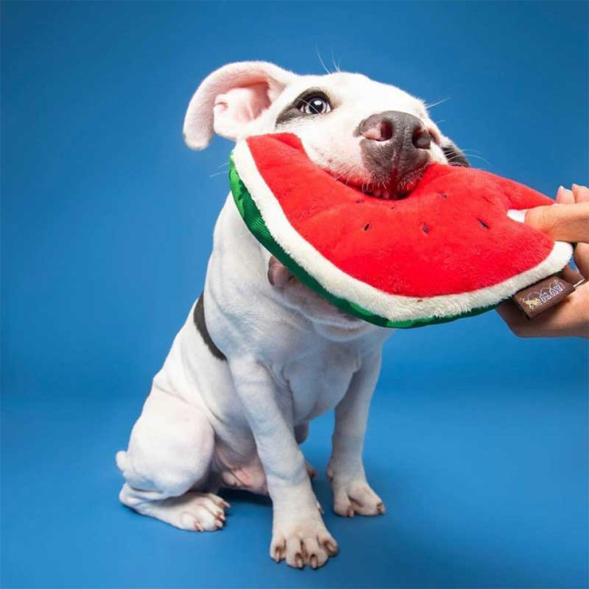 Іграшка для собак Tropical Paradise - Watermelon Pet Play