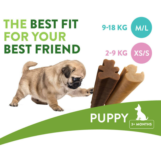 Натуральні ласощі для зубів цуценят WHIMZEES Puppy Dental Care Dog Treat, XS/S