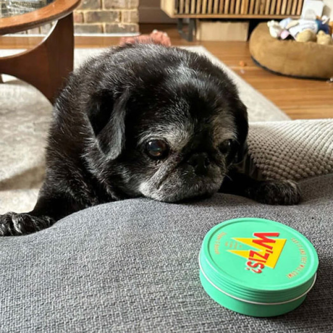 Веганські ласощі в баночках Slipper & Biscuit Tin of Treats W'ZIS Веганські ласощі в баночках Slipper & Biscuit Tin of Treats W'ZIS
