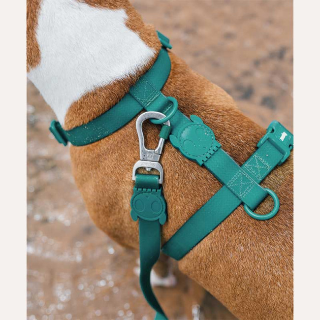 Шлея для собак Zee.Dog - NeoPro H-Harness Amazonia Шлея для собак Zee.Dog - NeoPro H-Harness Amazonia