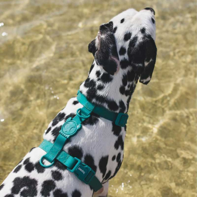 Шлея для собак Zee.Dog - NeoPro H-Harness Amazonia Шлея для собак Zee.Dog - NeoPro H-Harness Amazonia