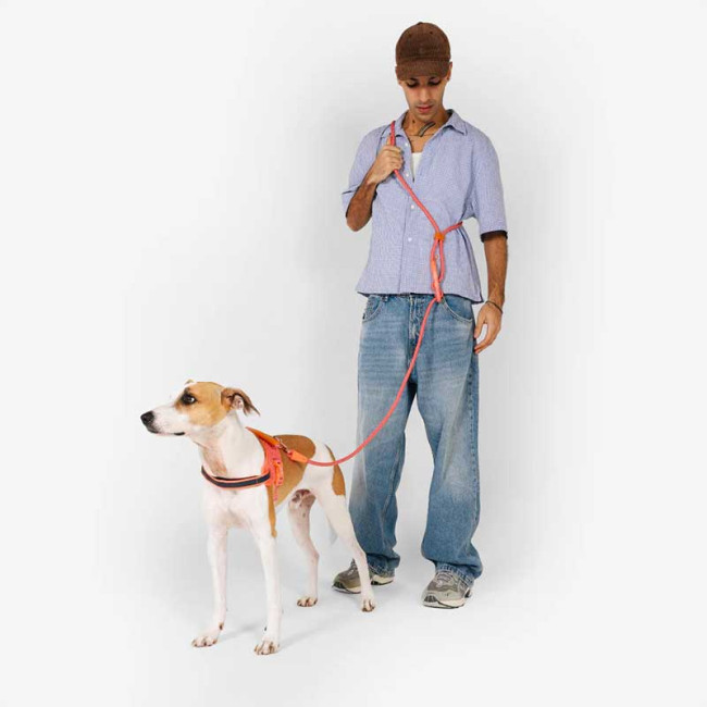 Повідець для собак Zee.Dog - Gazelle Hands-Free Leash, 120 - 240 см Повідець для собак Zee.Dog - Gazelle Hands-Free Leash, 120 - 240 см
