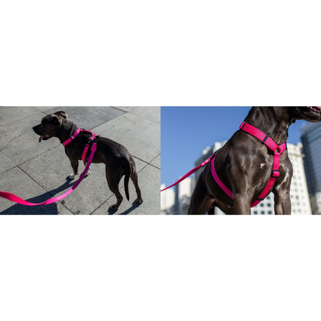 Шлейка для собак Zee.dog H-Harness / Pink LED Шлейка для собак Zee.dog H-Harness / Pink LED