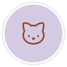 Котики